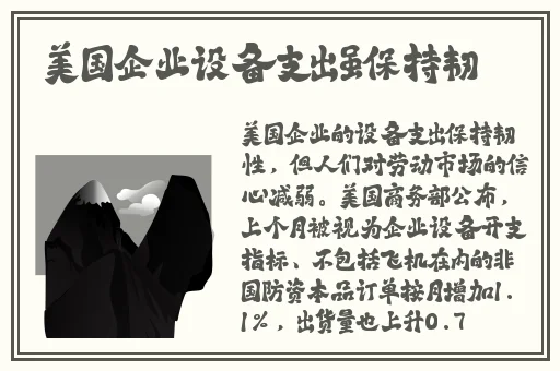 沈先生第二场高质量返场是哪一集