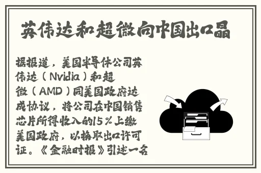 迈开腿让我看看你的小扇贝吧